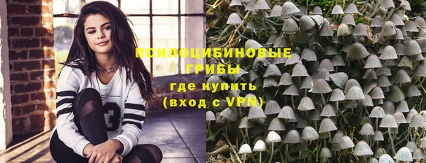 ешки Алзамай