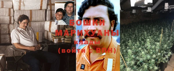 кокс Алексин