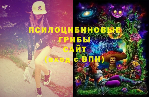 ешки Алзамай