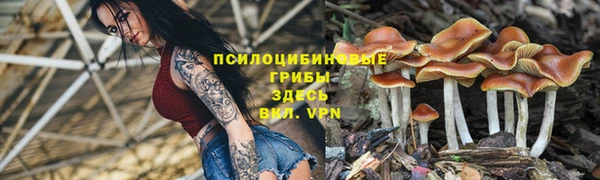 кокс Алексин