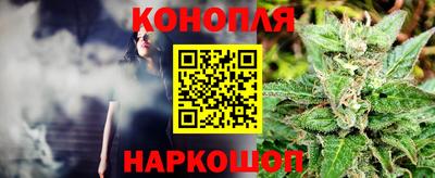 крисы Янаул