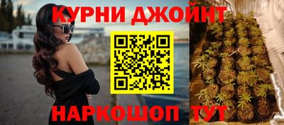 сатива Ярославль