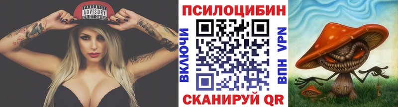 omg маркетплейс  Алексин  Галлюциногенные грибы мухоморы  даркнет сайт 