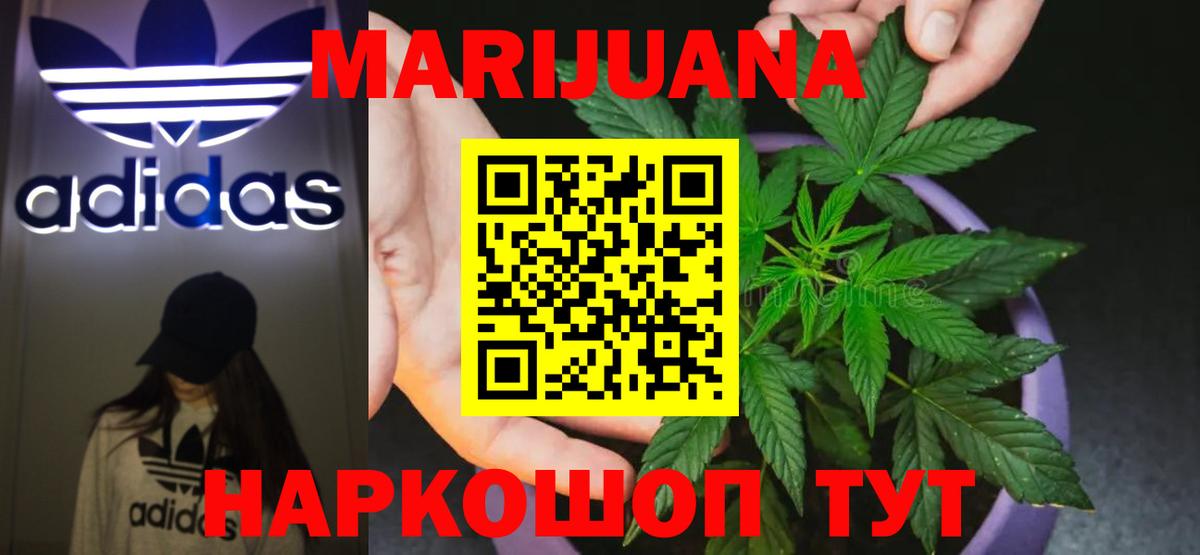 Каннабис планчик Алексин